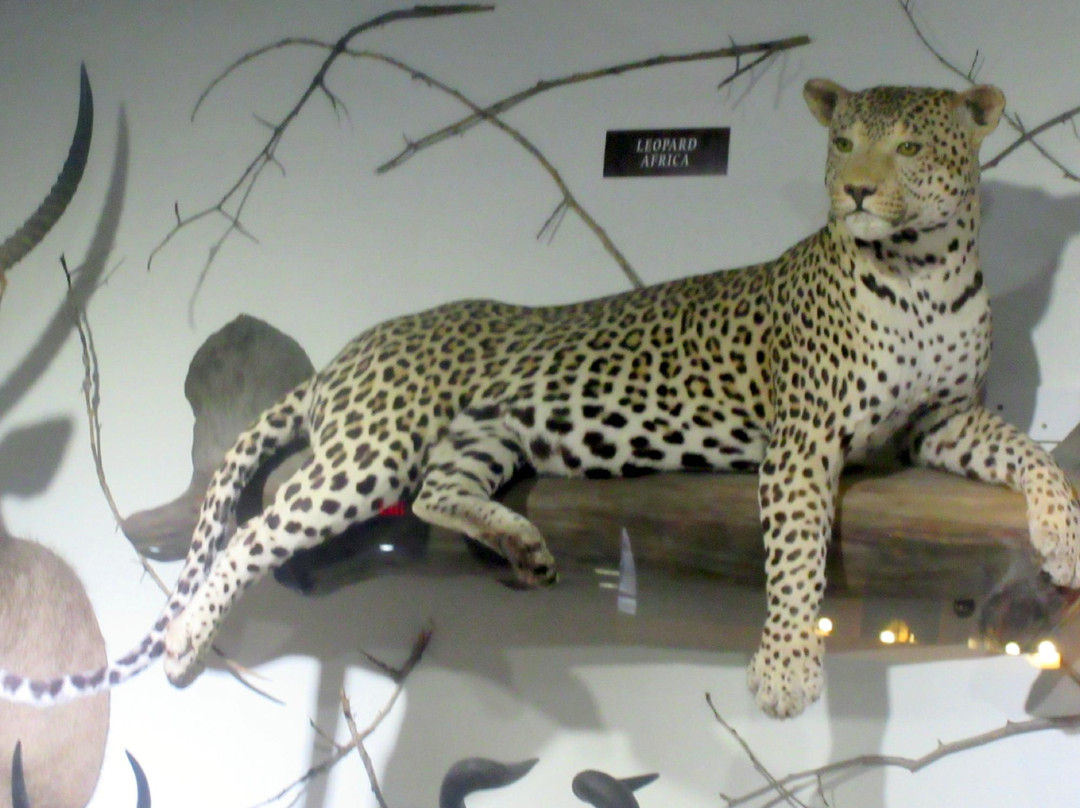 Visitor Center-温尼马卡必去景点