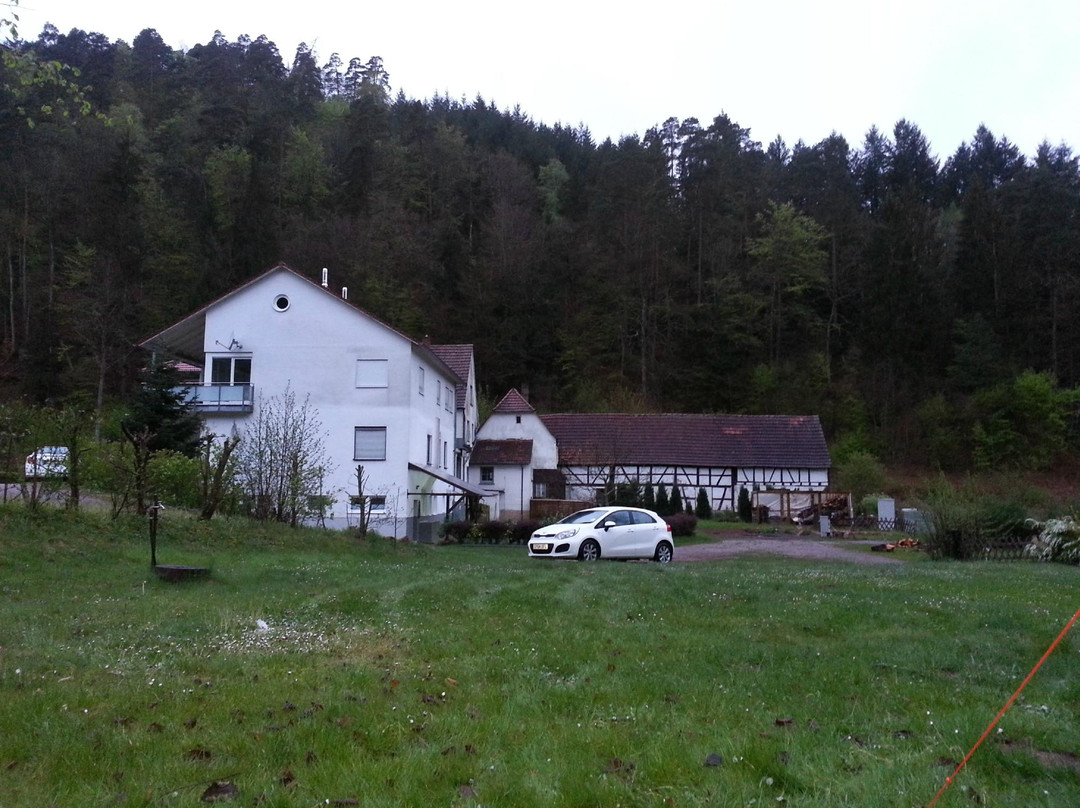 Campingplatz Neudahner Weiher