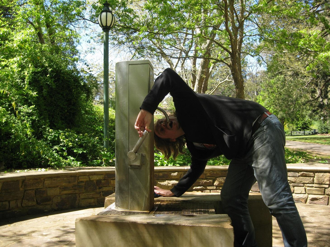 Hepburn Mineral Springs Reserve-Hepburn Springs必去景点