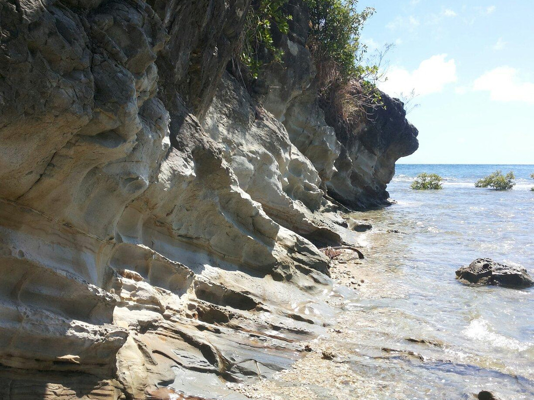Agfa Wave Rock Formation-Tangalan必去景点