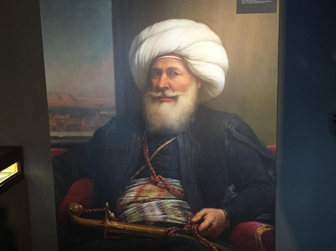 Institute Mohamed Ali景点图片