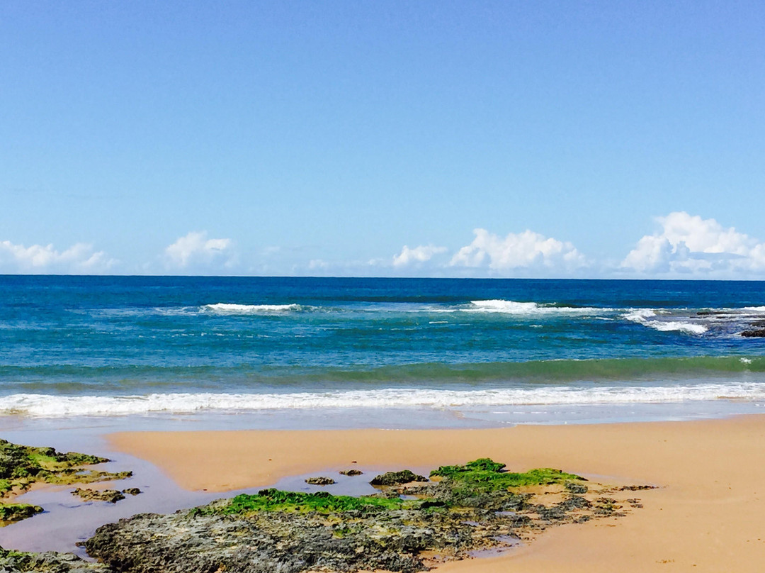 Tres Coqueiros Beach景点图片