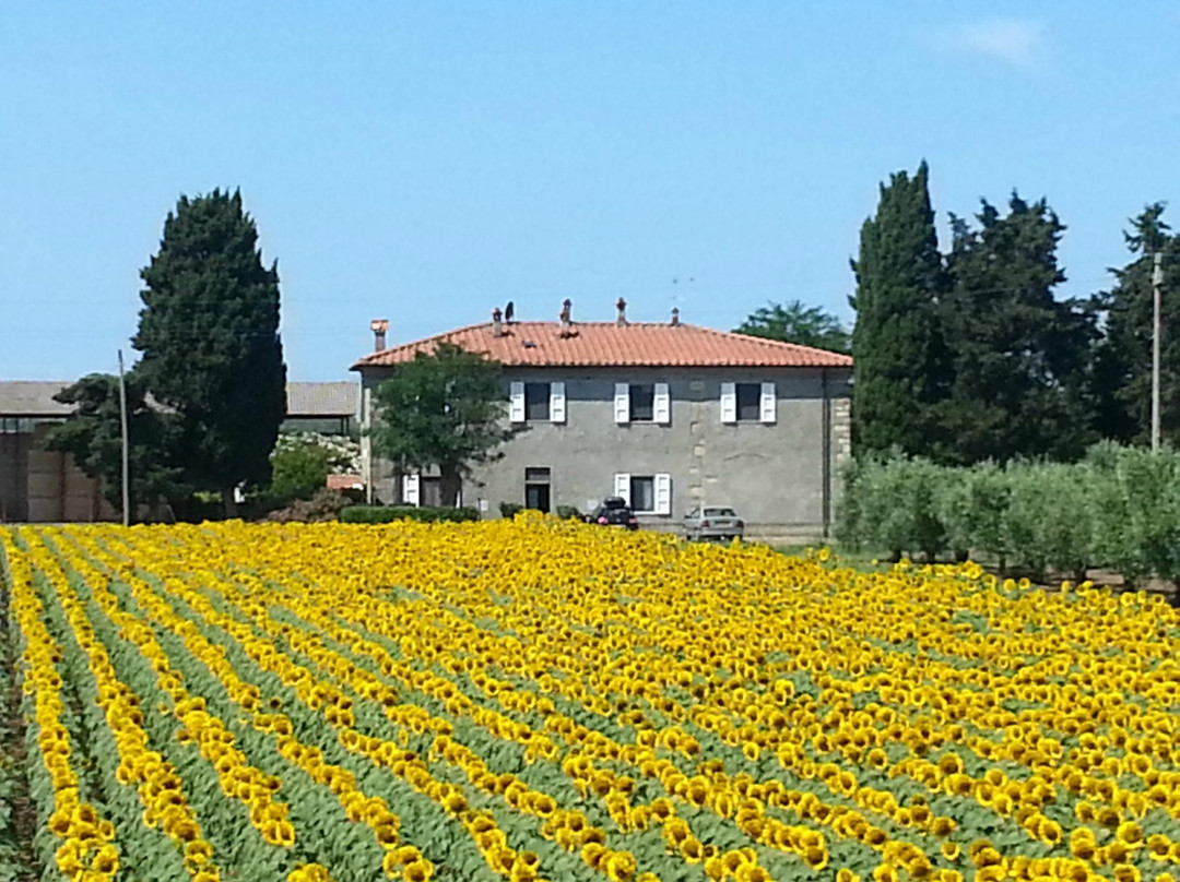 Podere Vallescaia - Agriturismo Bella Valle
