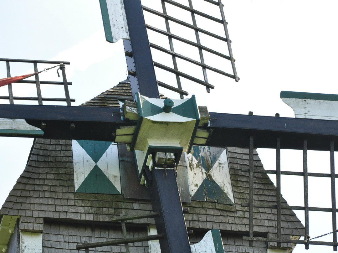 Aalbeke Windmill景点图片