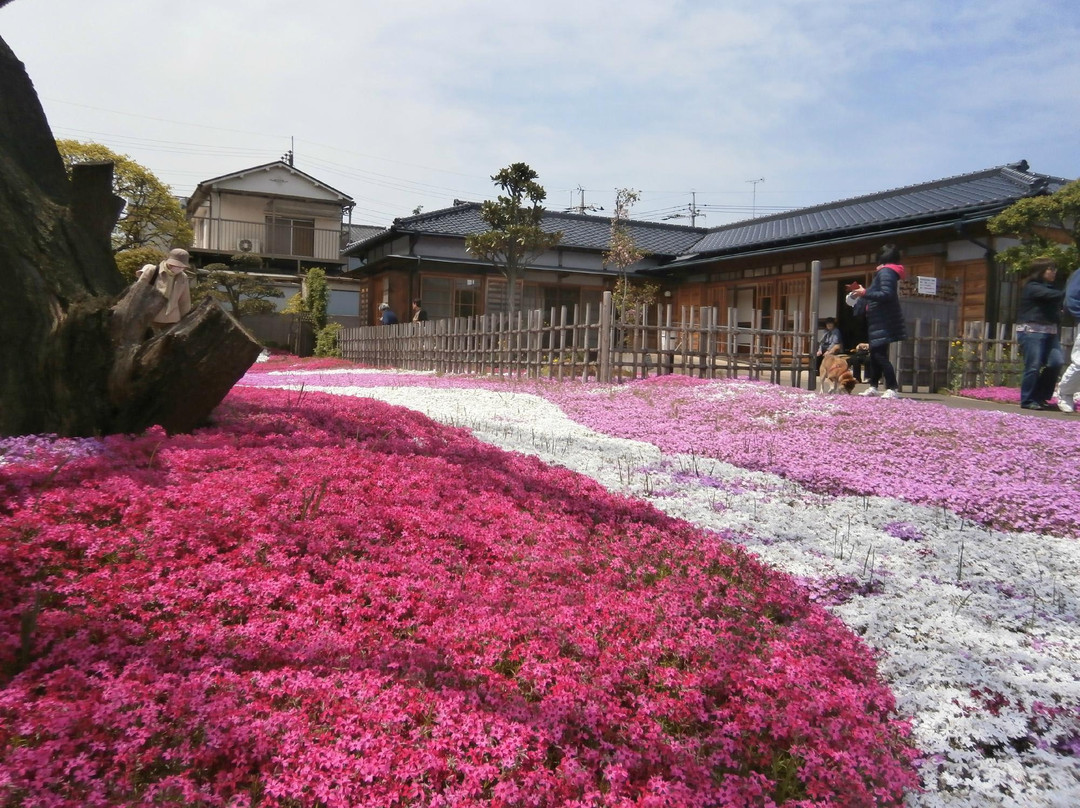 Kakumatsujyaku Memorial Museum-市川市必去景点
