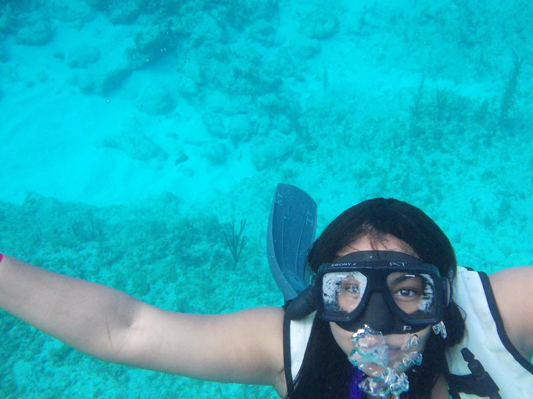 Treasure Reef-弗里波特必去景点