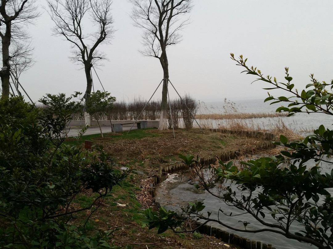 阳澄湖景点图片
