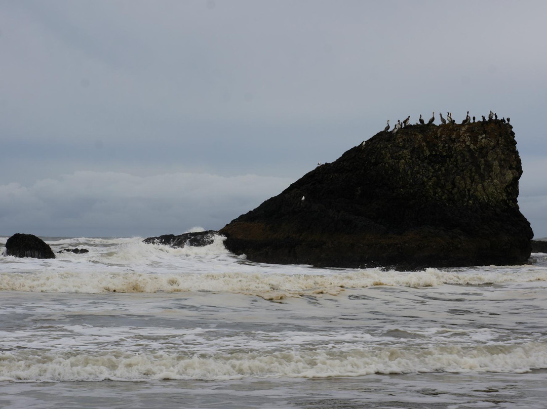 Seal Rock State Park景点图片