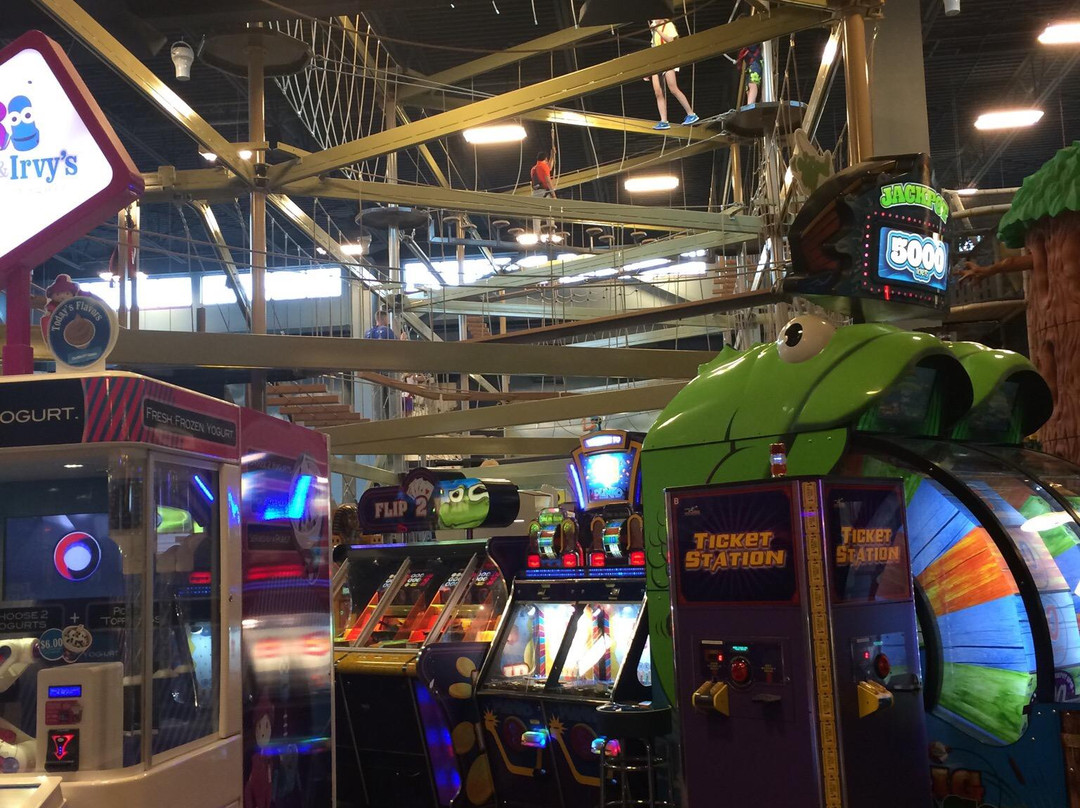 Wilderness at the Smokies-塞维尔维尔必去景点