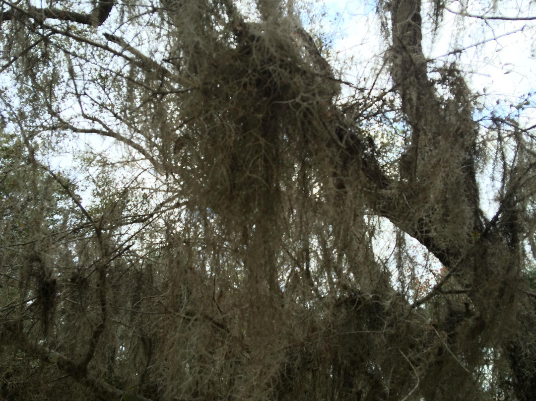 Lake Ashby Park-新士麦那海滩必去景点