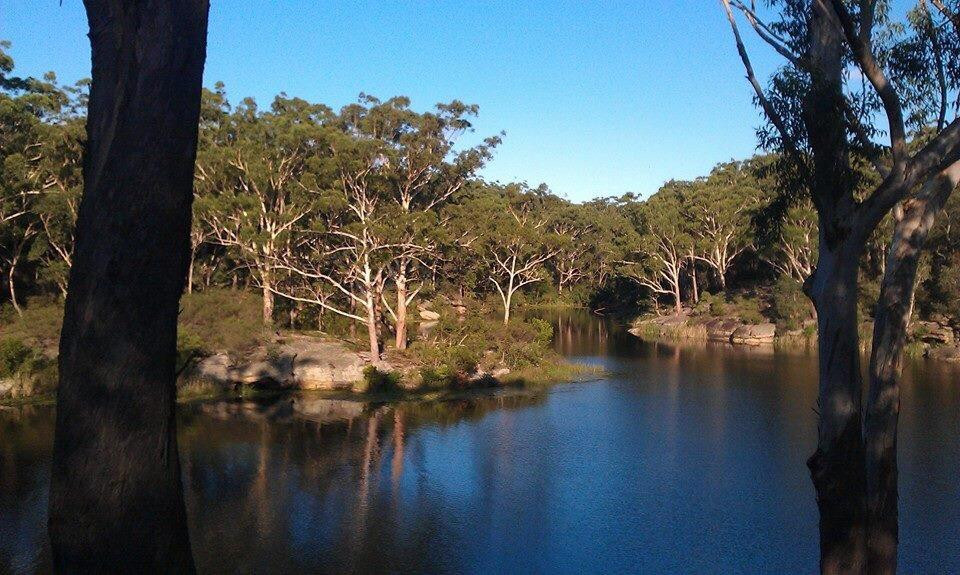 Lake Parramatta Reserve景点图片