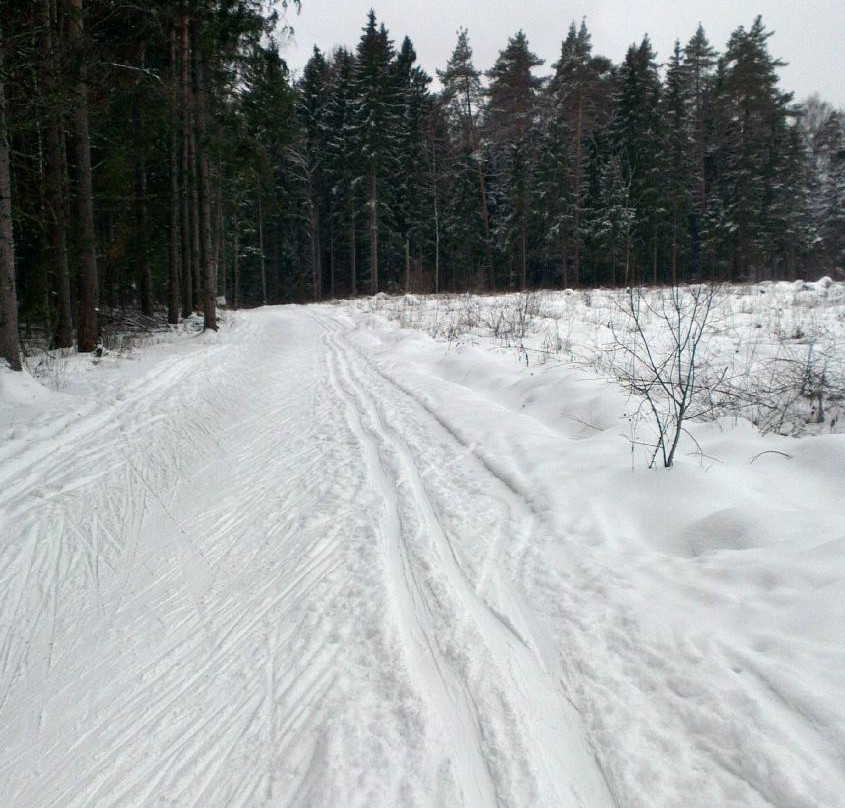 Ski Stadium Zorkiy景点图片