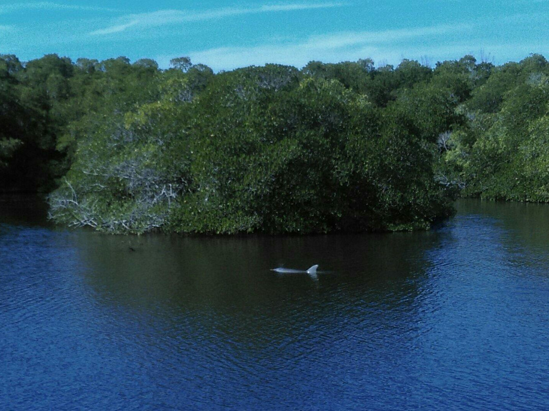 Gordon River Greenway-那不勒斯必去景点