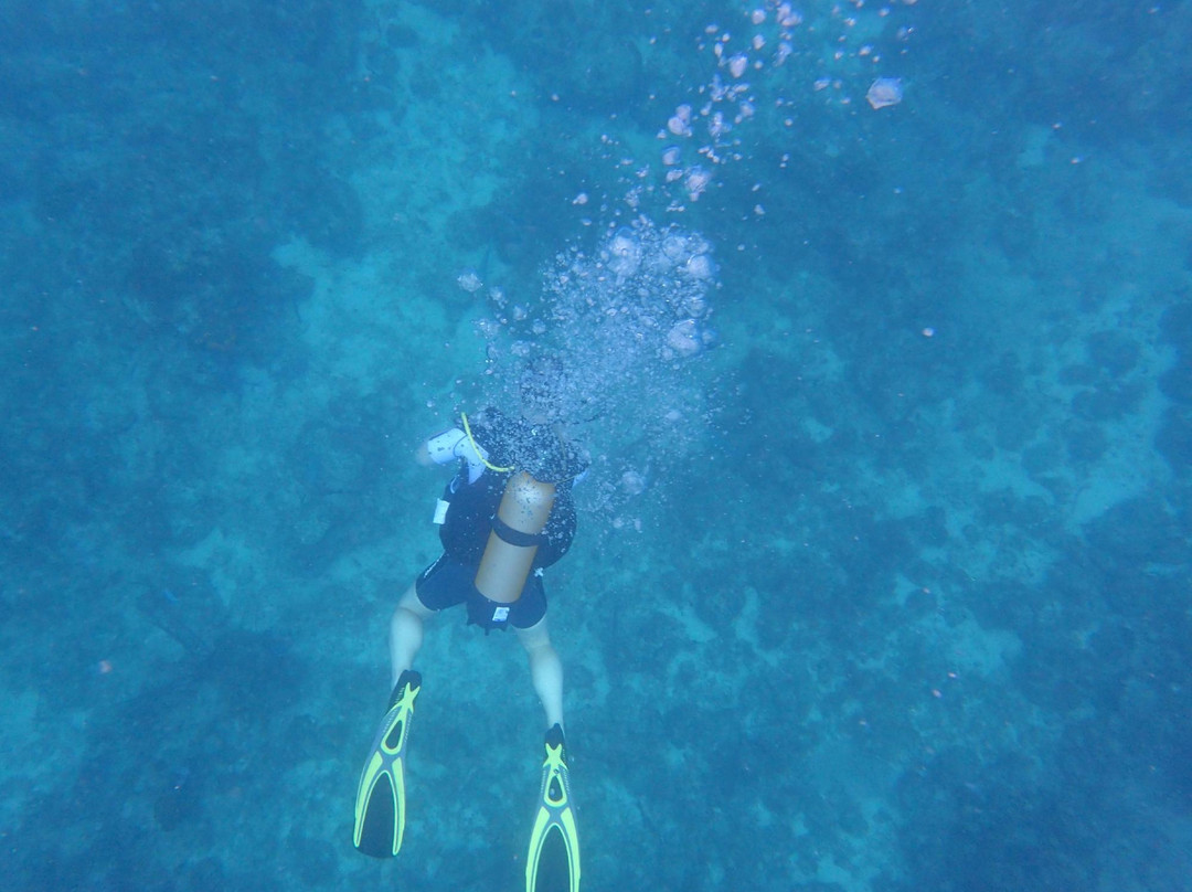 Serial Divers-居斯塔维亚必去景点