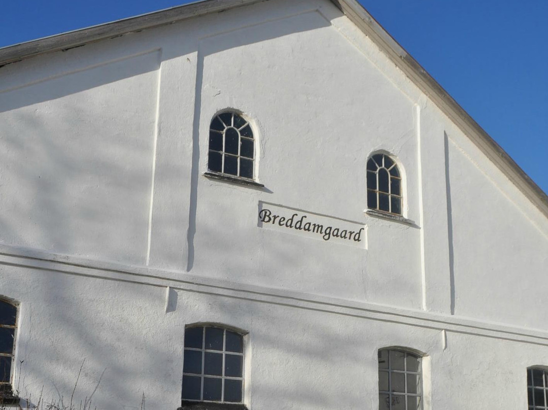 Breddamgaard BB主图