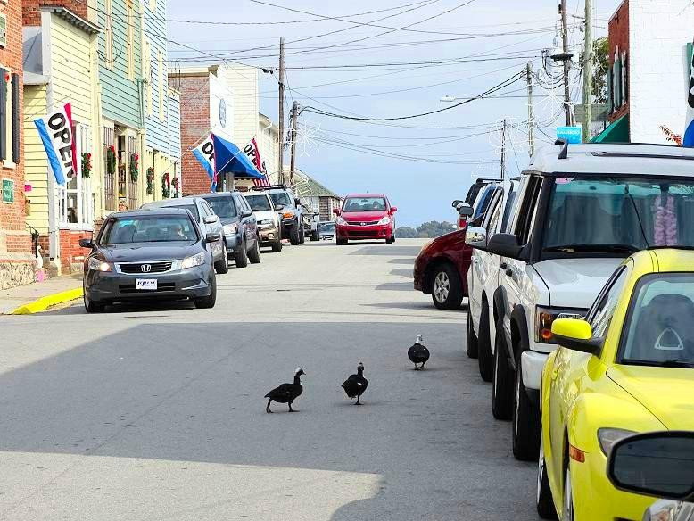 Poor Man's Hole-Swansboro必去景点