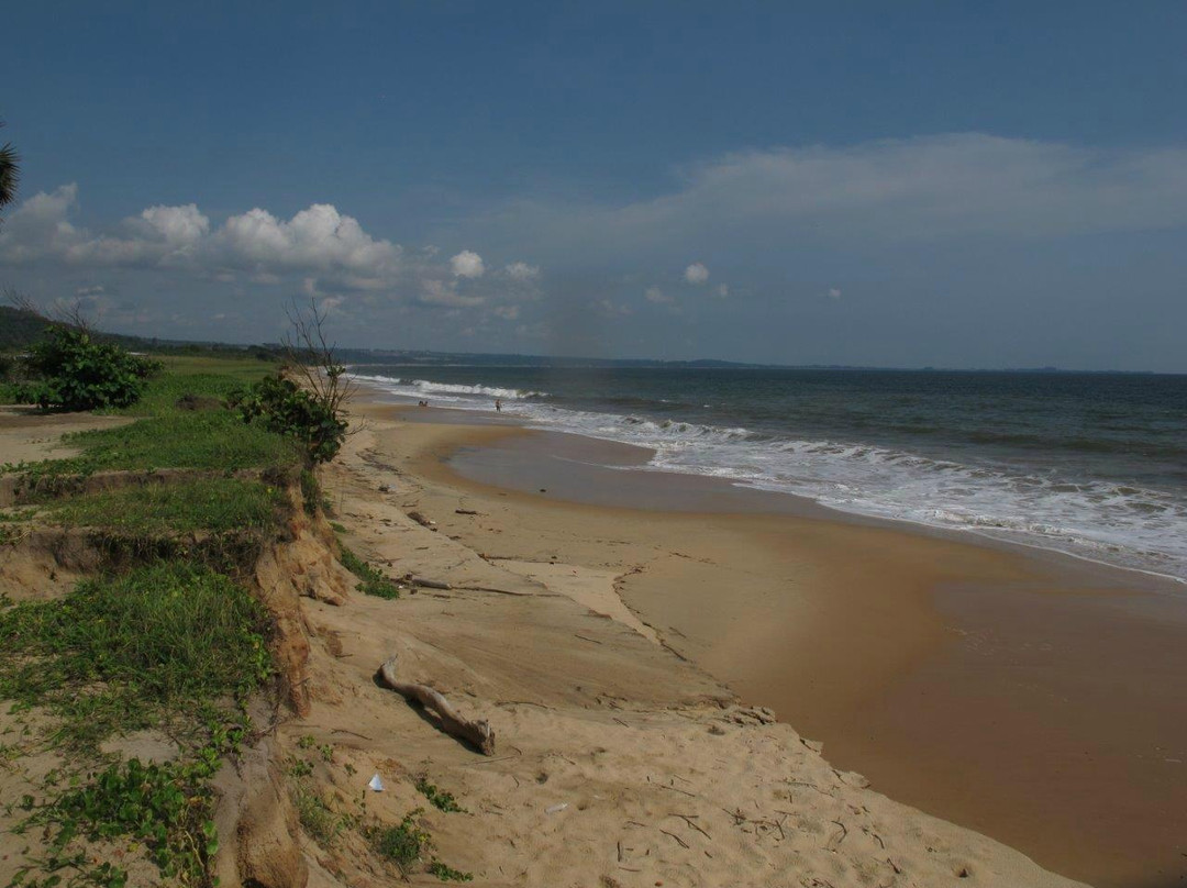 National Museum of the Democratic Republic of the Congo-布拉萨市必去景点