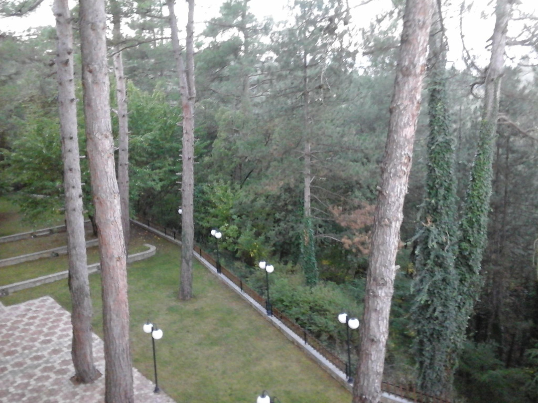 Milionis Forest Hotel主图