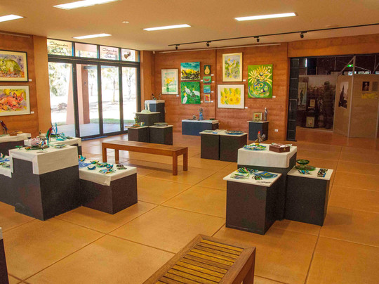 Coo-ee Heritage and Visitor Information Centre-Gilgandra必去景点