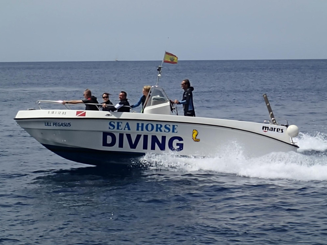 Sea Horse Scuba Diving Centre景点图片