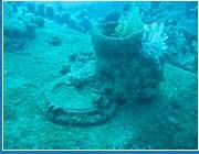 Barracuda Diving India-巴格海滩必去景点