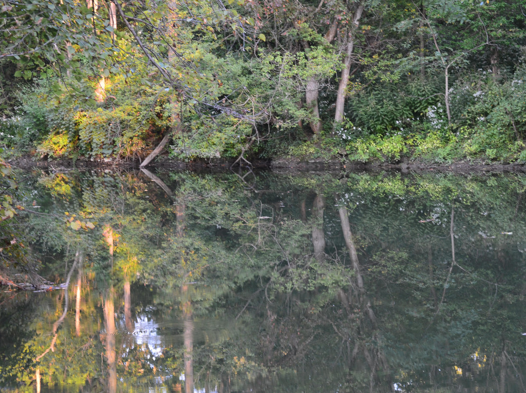 Indian Mound Reserve-Cedarville必去景点