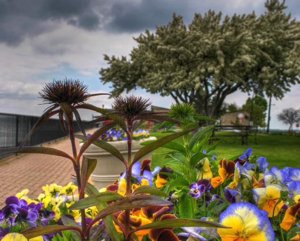 Erie Basin Marina Gardens景点图片