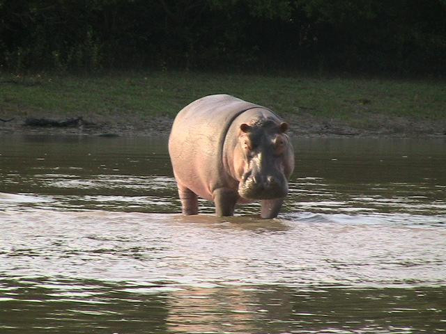 Saadani National Tips-Pangani必去景点