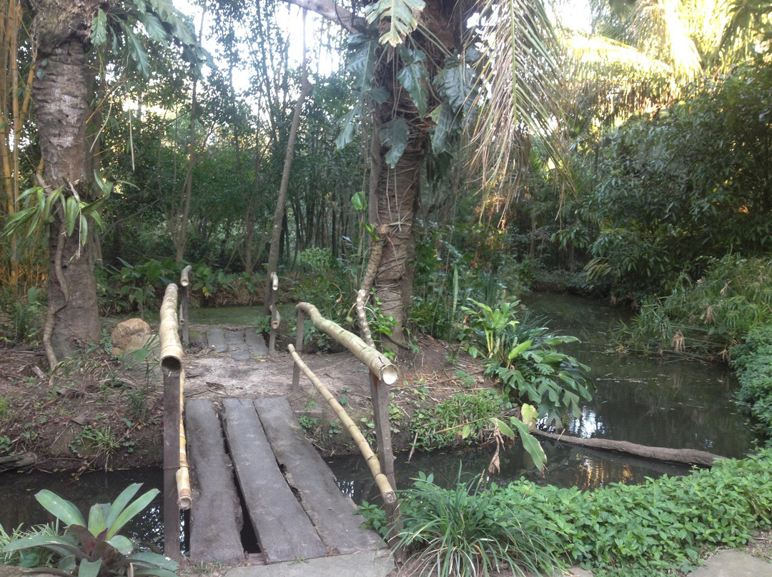 Parque Ecologico Yvaga Guazu - Paraiso Grande-圣克鲁斯省必去景点