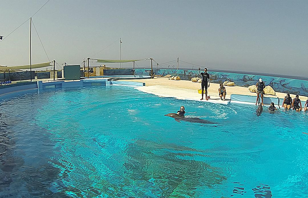 Bahar ic-Caghaq旅游攻略图片