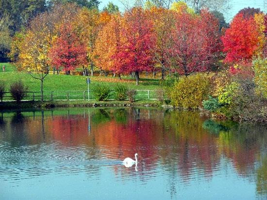 Borgomasino旅游景点-Parco della Pellerina