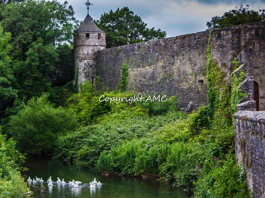 Cahir Castle-County Tipperary必去景点