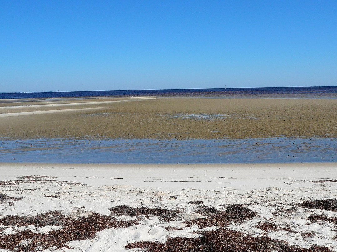 Bald Point State Park-Alligator Point必去景点