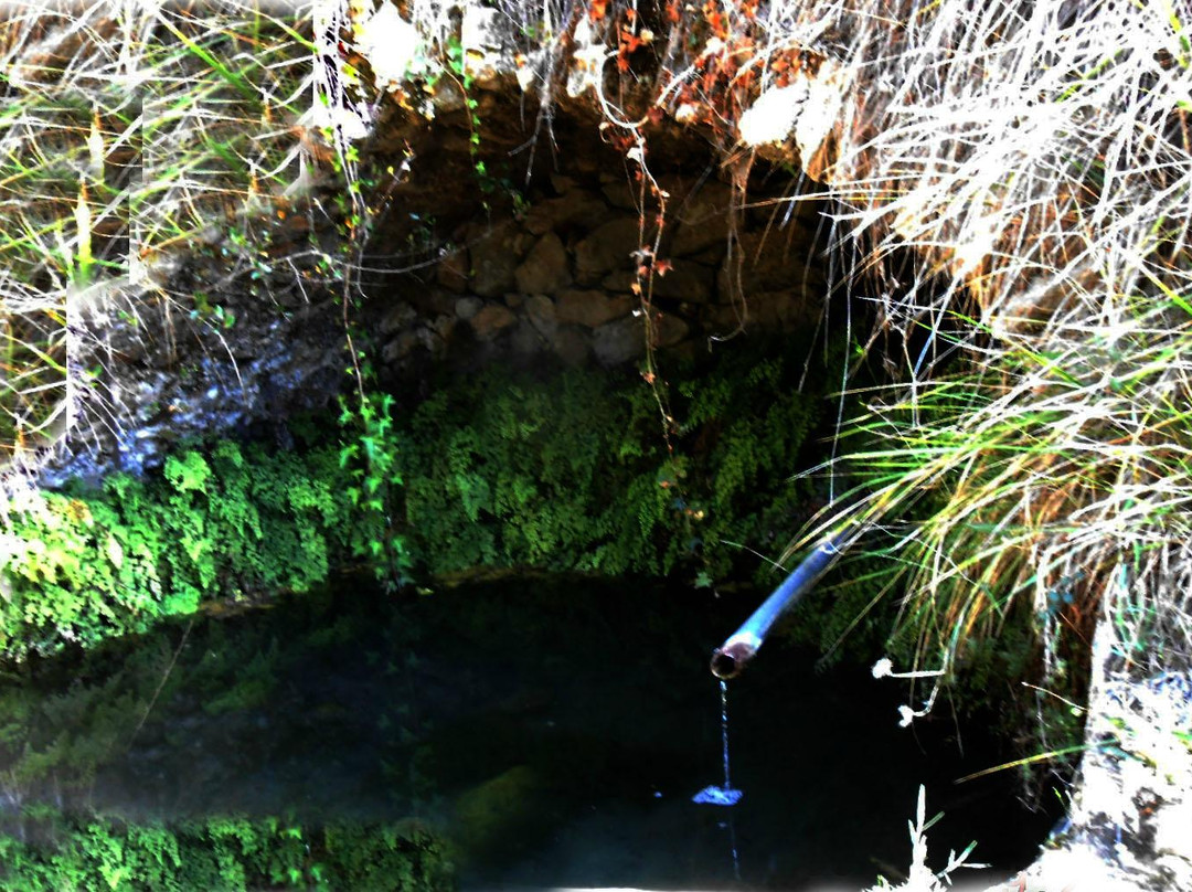 Nicole Durand Créations-文蒂米利亚必去景点