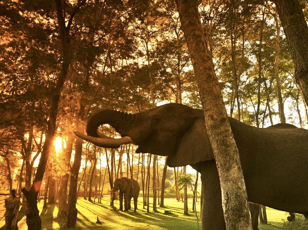 The Explorer Club-维多利亚瀑布必去景点