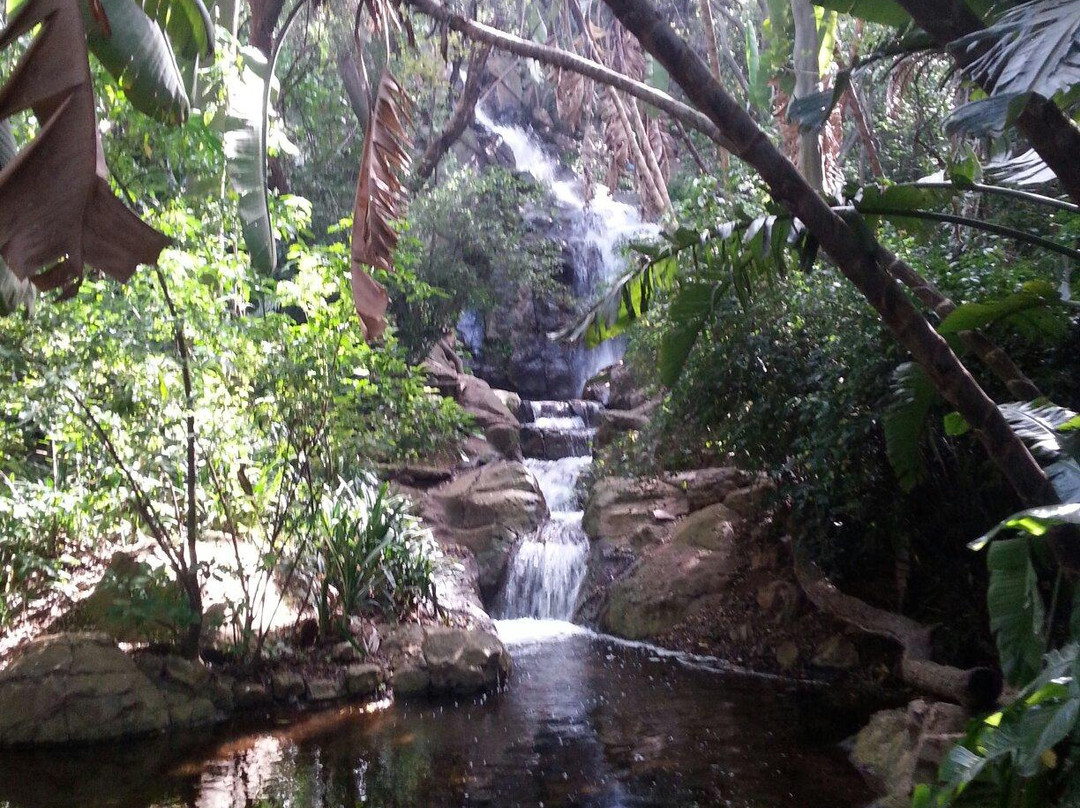 Pretoria National Botanical Garden景点图片