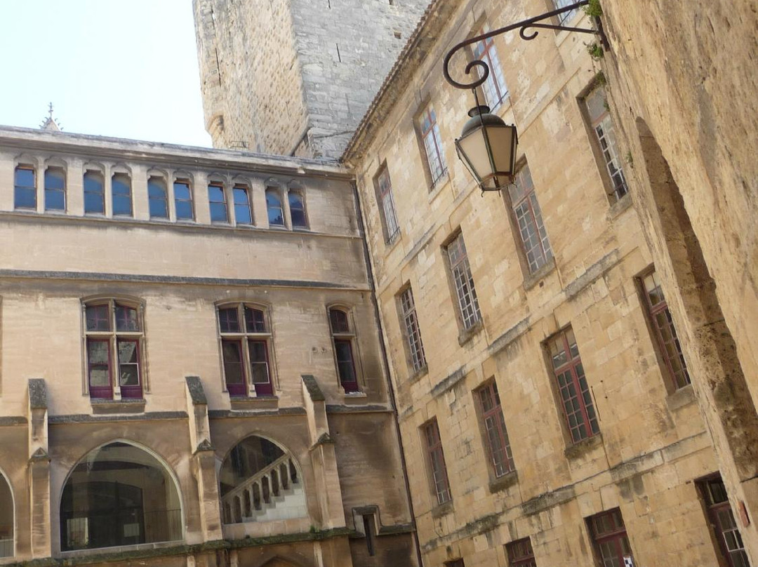 Musee d'Art et d'Histoire景点图片