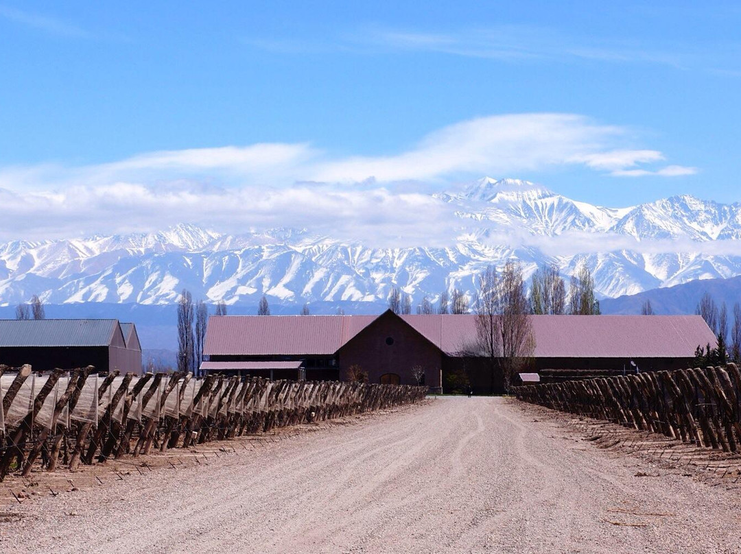 Mendoza Wine Tour-门多萨必去景点