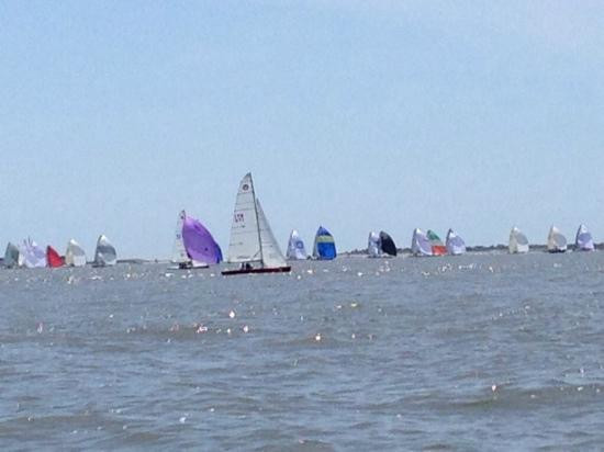 Sister City Cruises - Day Cruises-Daniel Island必去景点