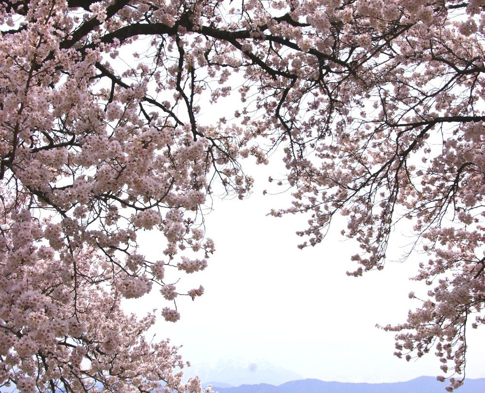 Kasuga Park-伊那市必去景点