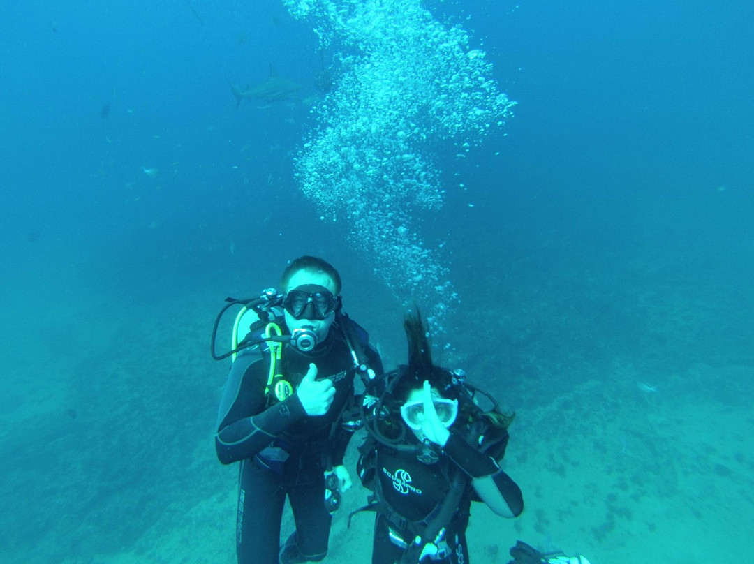 Aliwal Shoal Adventures-Umkomaas必去景点