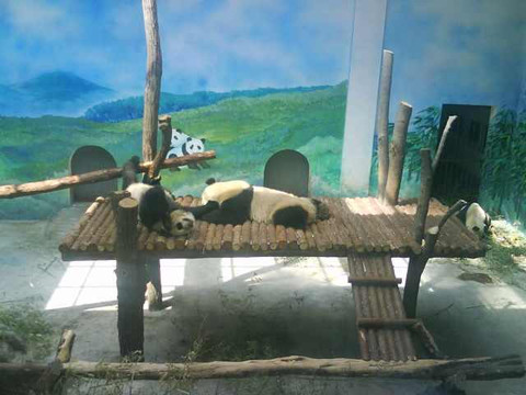 红山森林动物园-南京市必去景点