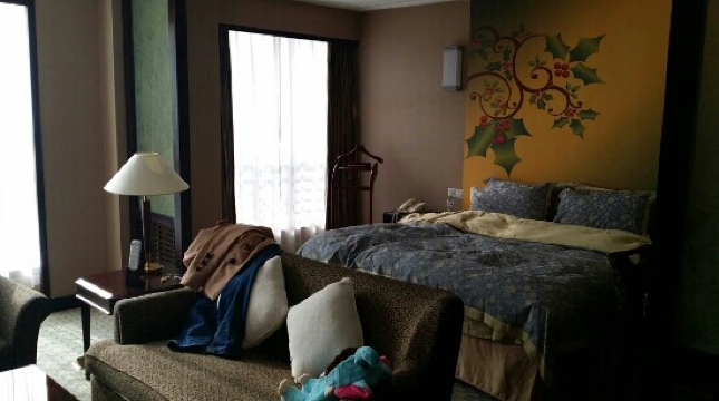 蓝海大饭店(青岛石老人海水浴场国际会展中心店)-客卧