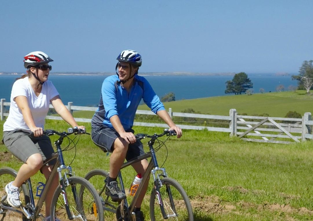 Cycling Vine Tours景点图片