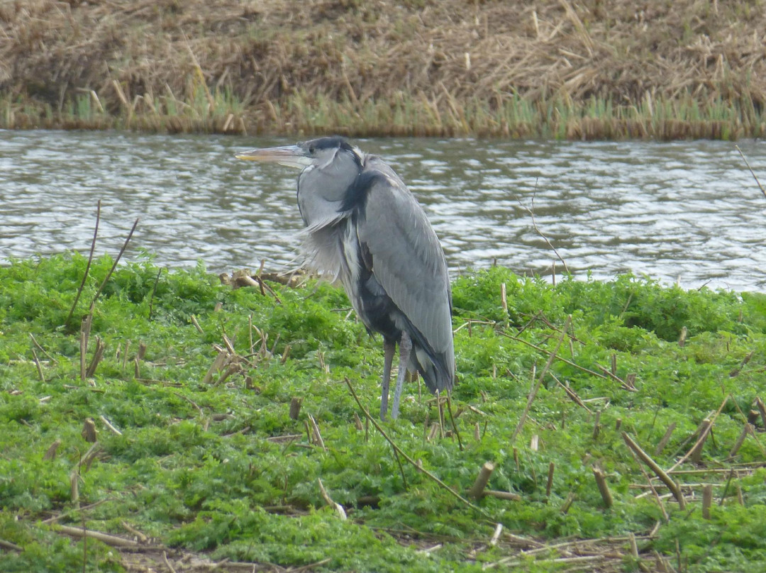 Capstone Farm Country Park景点图片