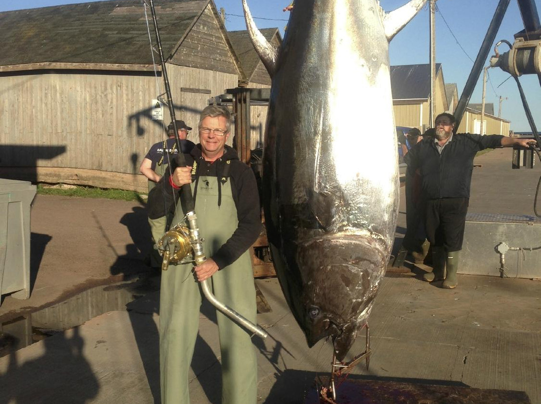 Island's End Tuna Charters -Private Day tours-Tignish必去景点