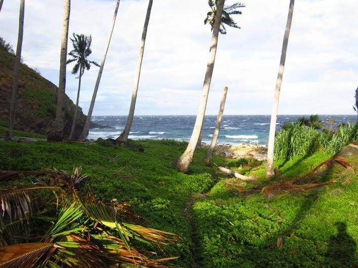 David's Trek-Apo Island必去景点