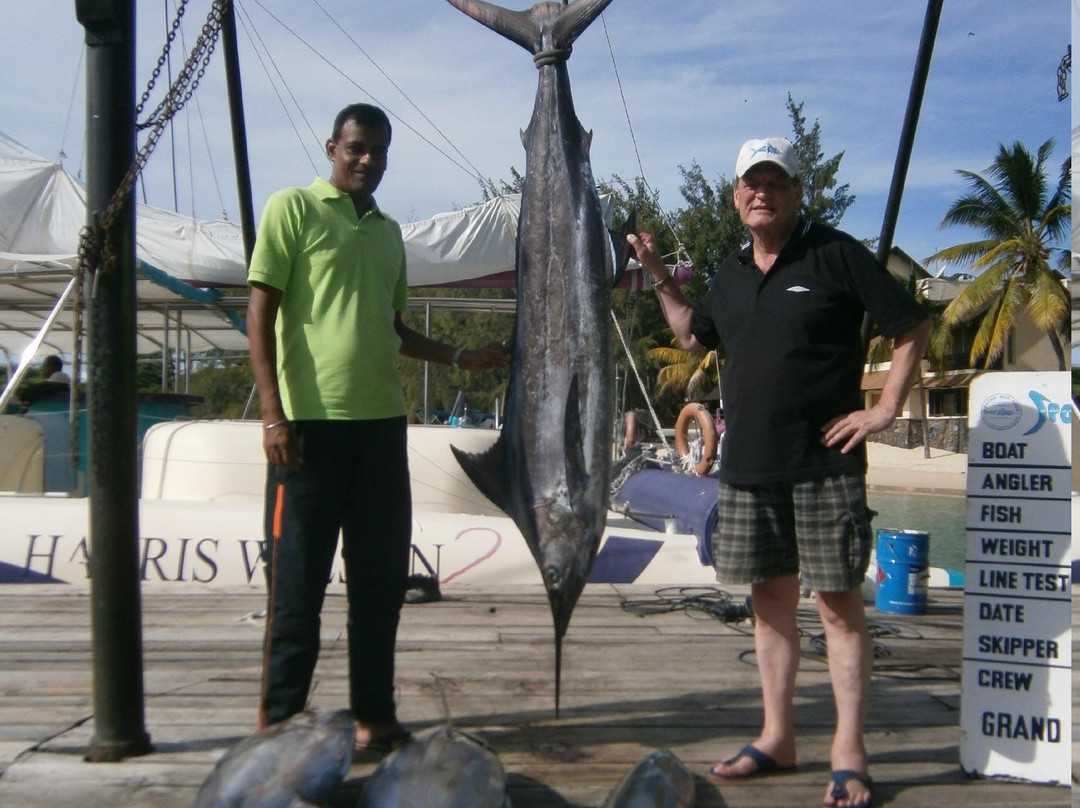 Big Game Fishing-庞波慕斯必去景点