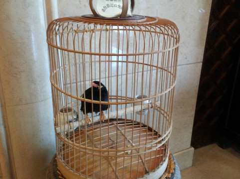 月亮河温泉假日酒店主图