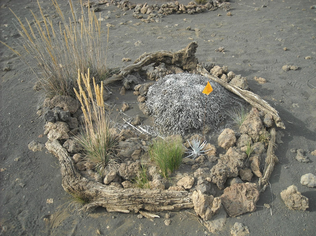 游客信息中心-希洛必去景点